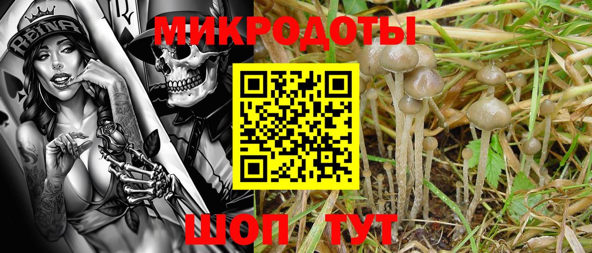 Кувандык  Псилоцибиновые грибы MAGIC MUSHROOMS  Псилоцибиновые грибы GOLDEN TEACHER  Вход с VPN 